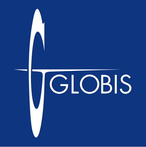 Globis University